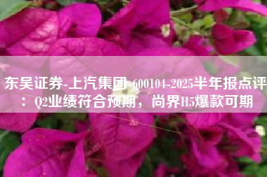 东吴证券-上汽集团-600104-2025半年报点评：Q2业绩符合预期，尚界H5爆款可期