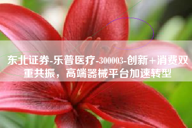 东北证券-乐普医疗-300003-创新+消费双重共振，高端器械平台加速转型