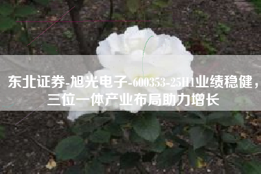 东北证券-旭光电子-600353-25H1业绩稳健，三位一体产业布局助力增长