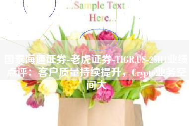 国泰海通证券-老虎证券-TIGR.US-25H1业绩点评：客户质量持续提升，Crypto业务空间大