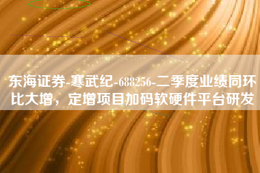 东海证券-寒武纪-688256-二季度业绩同环比大增，定增项目加码软硬件平台研发