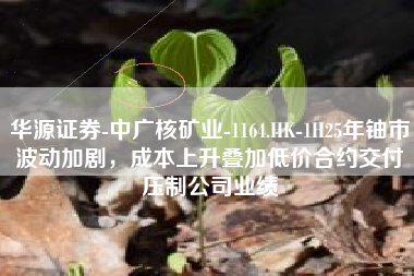 华源证券-中广核矿业-1164.HK-1H25年铀市波动加剧，成本上升叠加低价合约交付压制公司业绩