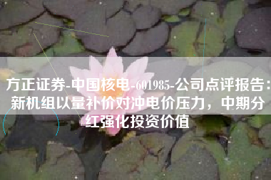 方正证券-中国核电-601985-公司点评报告：新机组以量补价对冲电价压力，中期分红强化投资价值