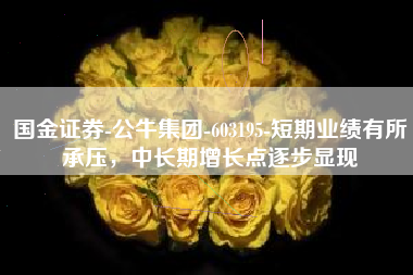 国金证券-公牛集团-603195-短期业绩有所承压，中长期增长点逐步显现