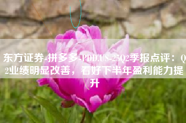东方证券-拼多多-PDD.US-25Q2季报点评：Q2业绩明显改善，看好下半年盈利能力提升