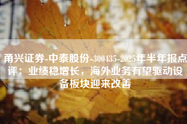 甬兴证券-中泰股份-300435-2025年半年报点评：业绩稳增长，海外业务有望驱动设备板块迎来改善