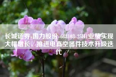 长城证券-国力股份-688103-25H1业绩实现大幅增长，推进电真空器件技术升级迭代