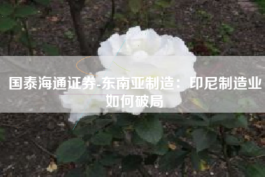 国泰海通证券-东南亚制造：印尼制造业如何破局