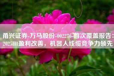 甬兴证券-万马股份-002276-首次覆盖报告：2025H1盈利改善，机器人线缆竞争力领先