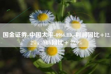 国金证券-中国太平-0966.HK-利润同比+12.2%，NBV同比+ 22.9%