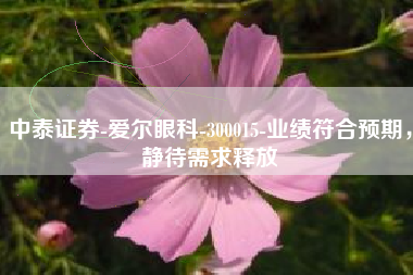 中泰证券-爱尔眼科-300015-业绩符合预期，静待需求释放