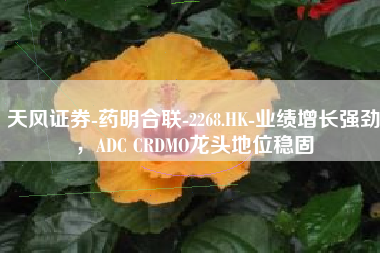 天风证券-药明合联-2268.HK-业绩增长强劲，ADC CRDMO龙头地位稳固