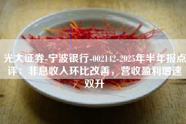 光大证券-宁波银行-002142-2025年半年报点评：非息收入环比改善，营收盈利增速双升