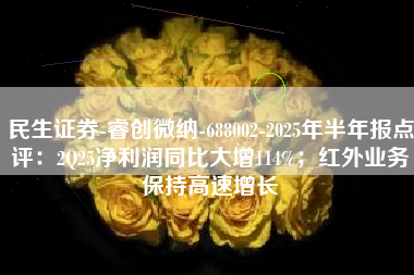 民生证券-睿创微纳-688002-2025年半年报点评：2Q25净利润同比大增114%；红外业务保持高速增长