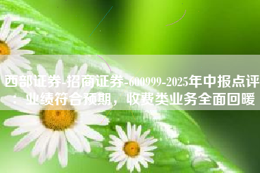 西部证券-招商证券-600999-2025年中报点评：业绩符合预期，收费类业务全面回暖
