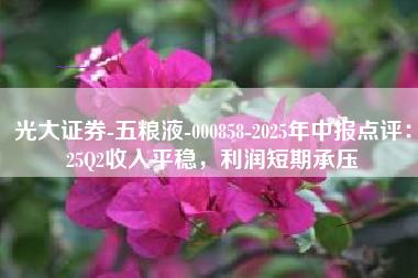 光大证券-五粮液-000858-2025年中报点评：25Q2收入平稳，利润短期承压