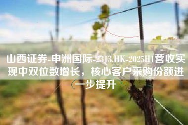 山西证券-申洲国际-2313.HK-2025H1营收实现中双位数增长，核心客户采购份额进一步提升