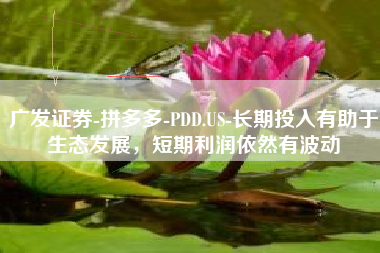 广发证券-拼多多-PDD.US-长期投入有助于生态发展，短期利润依然有波动