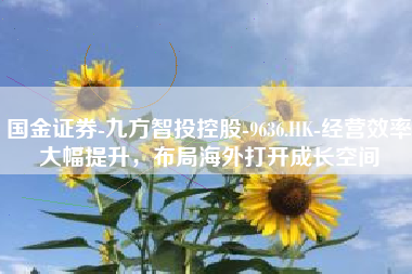 国金证券-九方智投控股-9636.HK-经营效率大幅提升，布局海外打开成长空间