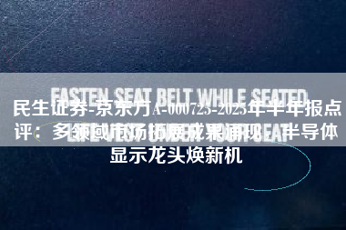 民生证券-京东方A-000725-2025年半年报点评：多领域市场拓展成果涌现，半导体显示龙头焕新机