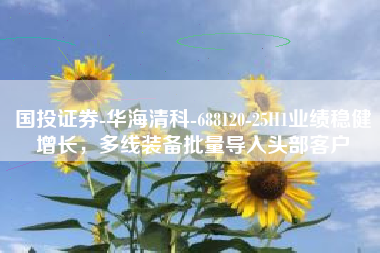 国投证券-华海清科-688120-25H1业绩稳健增长，多线装备批量导入头部客户