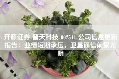 开源证券-普天科技-002544-公司信息更新报告：业绩短期承压，卫星通信前景光明