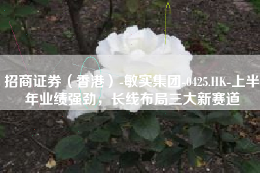 招商证券（香港）-敏实集团-0425.HK-上半年业绩强劲，长线布局三大新赛道