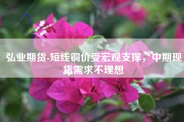 弘业期货-短线铜价受宏观支撑，中期现货需求不理想