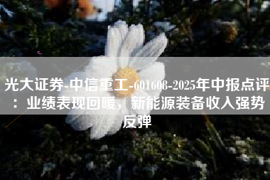 光大证券-中信重工-601608-2025年中报点评：业绩表现回暖，新能源装备收入强势反弹