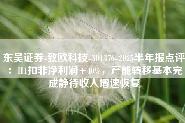 东吴证券-致欧科技-301376-2025半年报点评：H1扣非净利润+40%，产能转移基本完成静待收入增速恢复