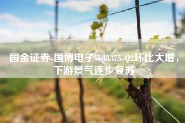 国金证券-国博电子-688375-Q2环比大增，下游景气逐步复苏