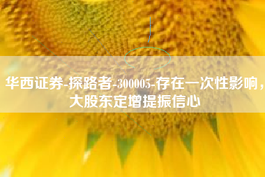 华西证券-探路者-300005-存在一次性影响，大股东定增提振信心