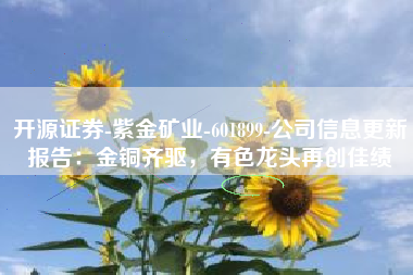 开源证券-紫金矿业-601899-公司信息更新报告：金铜齐驱，有色龙头再创佳绩