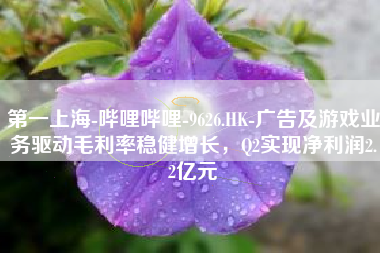 第一上海-哔哩哔哩-9626.HK-广告及游戏业务驱动毛利率稳健增长，Q2实现净利润2.2亿元