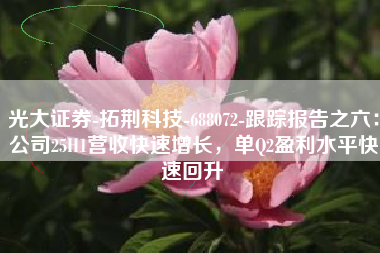 光大证券-拓荆科技-688072-跟踪报告之六：公司25H1营收快速增长，单Q2盈利水平快速回升