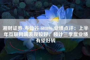 湘财证券-寿仙谷-603896-业绩点评：上半年互联网端表现较好，预计三季度业绩有望好转