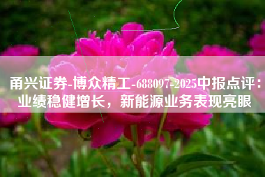 甬兴证券-博众精工-688097-2025中报点评：业绩稳健增长，新能源业务表现亮眼