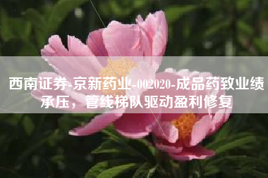 西南证券-京新药业-002020-成品药致业绩承压，管线梯队驱动盈利修复