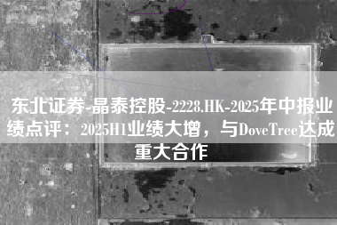 东北证券-晶泰控股-2228.HK-2025年中报业绩点评：2025H1业绩大增，与DoveTree达成重大合作