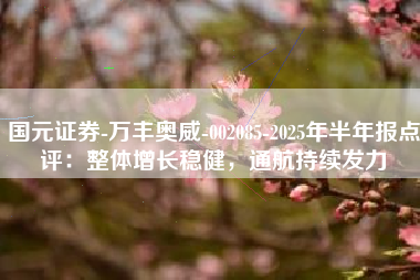 国元证券-万丰奥威-002085-2025年半年报点评：整体增长稳健，通航持续发力