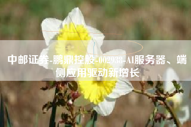 中邮证券-鹏鼎控股-002938-AI服务器、端侧应用驱动新增长