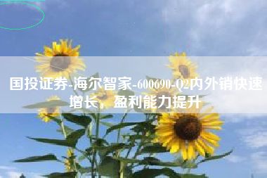 国投证券-海尔智家-600690-Q2内外销快速增长，盈利能力提升
