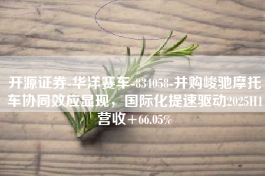 开源证券-华洋赛车-834058-并购峻驰摩托车协同效应显现，国际化提速驱动2025H1营收+66.05%