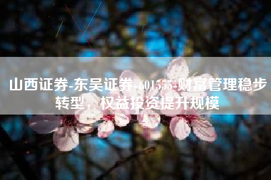 山西证券-东吴证券-601555-财富管理稳步转型，权益投资提升规模