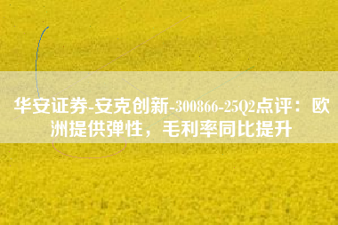 华安证券-安克创新-300866-25Q2点评：欧洲提供弹性，毛利率同比提升