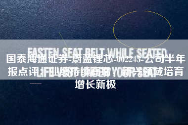国泰海通证券-蔚蓝锂芯-002245-公司半年报点评：业绩持续高增，新兴领域培育增长新极