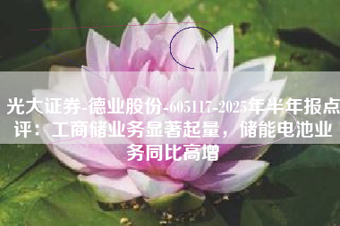 光大证券-德业股份-605117-2025年半年报点评：工商储业务显著起量，储能电池业务同比高增