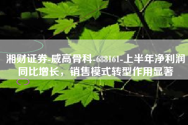 湘财证券-威高骨科-688161-上半年净利润同比增长，销售模式转型作用显著