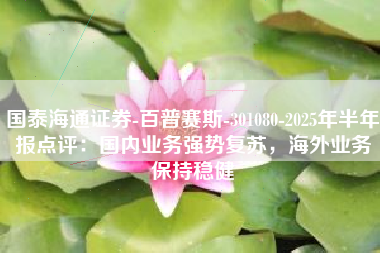 国泰海通证券-百普赛斯-301080-2025年半年报点评：国内业务强势复苏，海外业务保持稳健