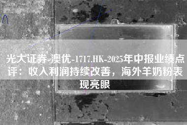光大证券-澳优-1717.HK-2025年中报业绩点评：收入利润持续改善，海外羊奶粉表现亮眼